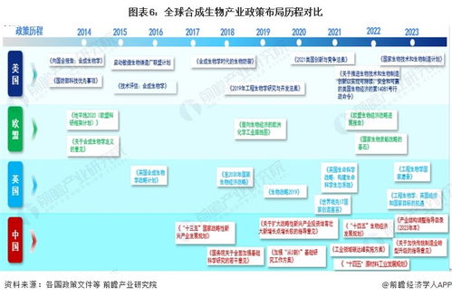 2024年中國合成生物產(chǎn)業(yè)全景圖譜 規(guī)模躍升、區(qū)域集聚與技術(shù)突破