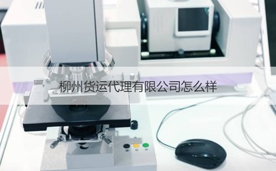 柳州貨運代理市場分析 優(yōu)質(zhì)企業(yè)盤點與商務代辦服務指南